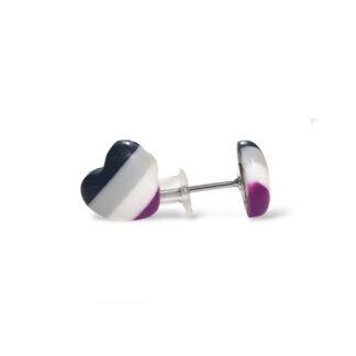 Asexual pride flag stud earrings