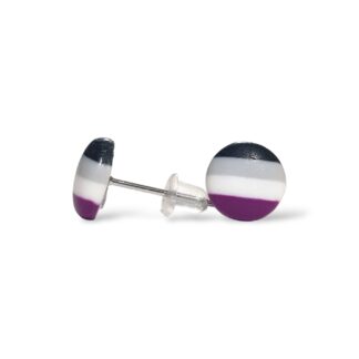 Asexual pride flag round stud earrings