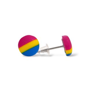 Pansexual pride flag small round stud earrings