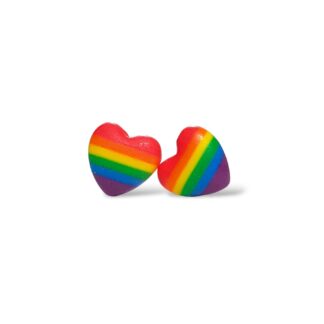 Pride flag heart shaped stud earrings